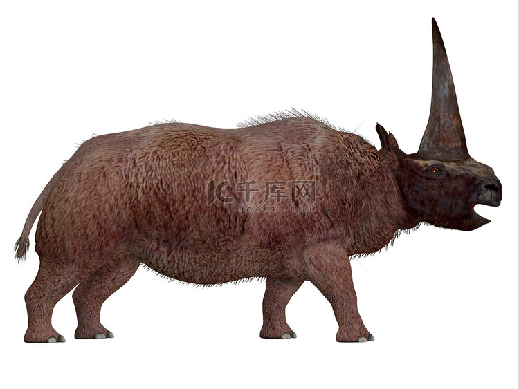 Elasmotherium 侧面轮廓