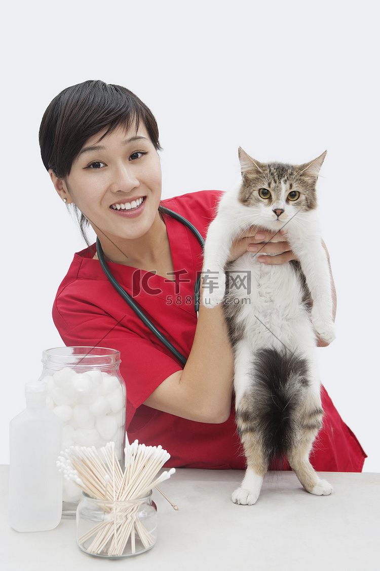 一位亚洲女兽医在灰色背景下抱着