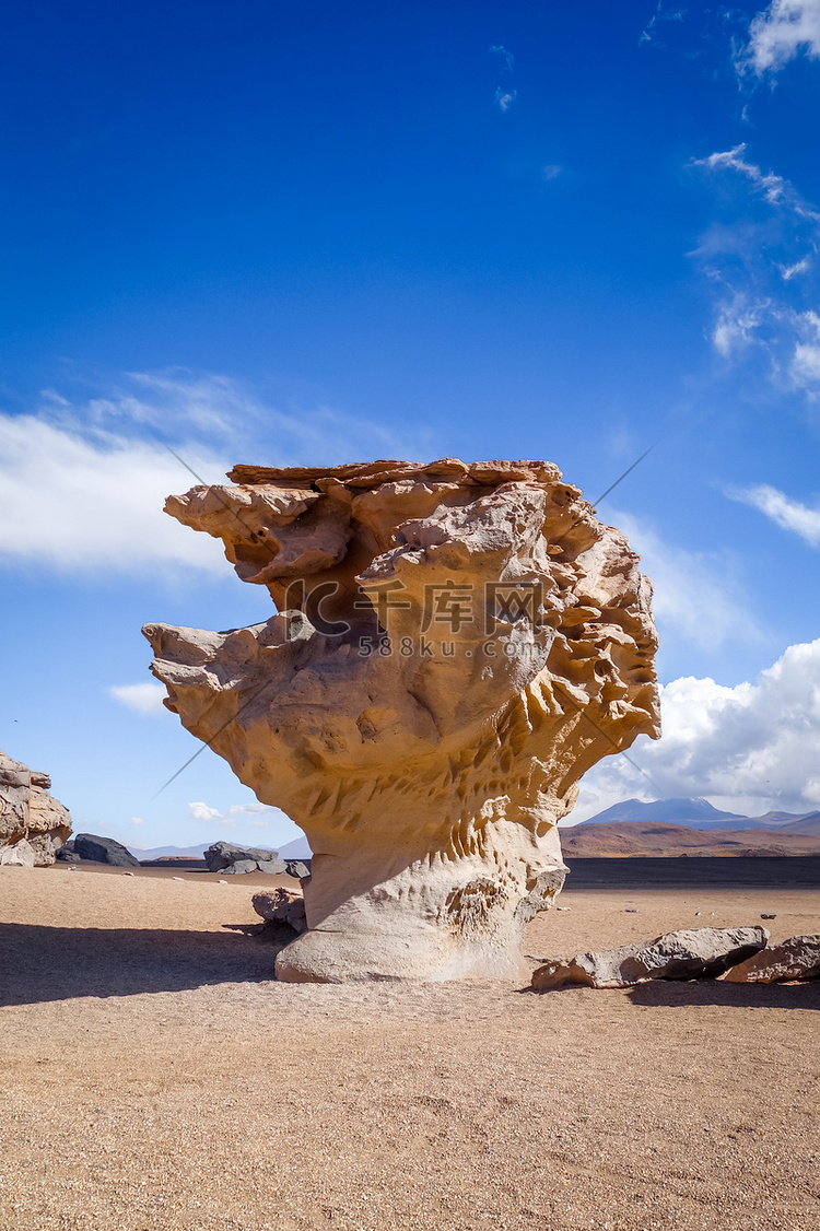 石树在 Siloli 沙漠，s