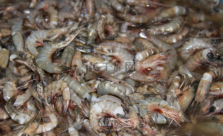 印度果阿鱼市上的鲜虾
