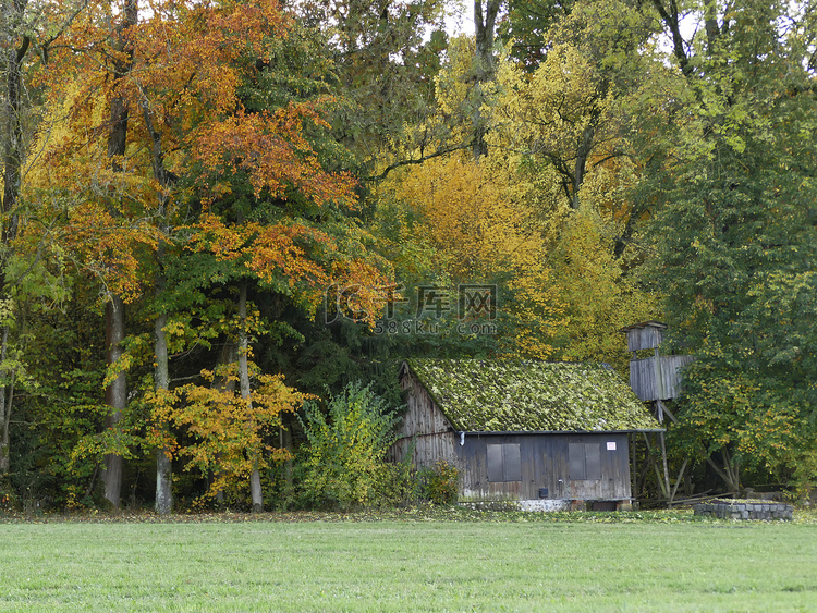 秋季彩绘森林的旧小屋