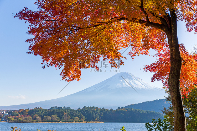 富士山和秋天的枫叶