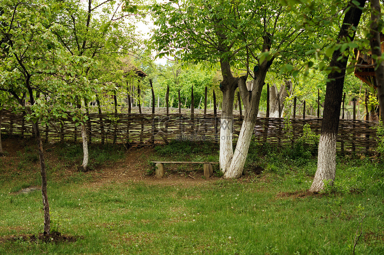 乡村景观中的花园长椅