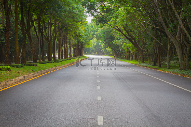 泰国清晨的绿色隧道森林清洁道路