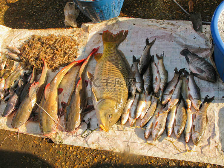 占巴塞老挝的鱼市
