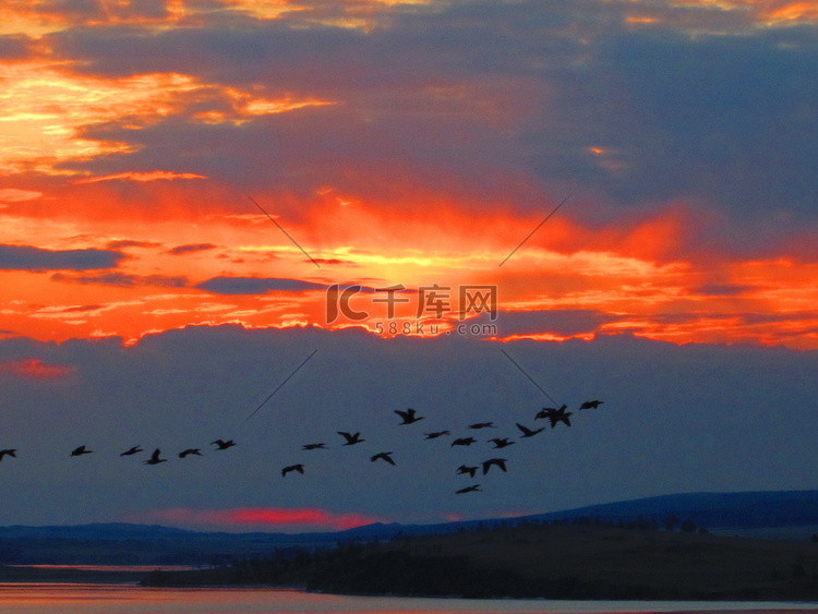一群飞翔的鸟儿在橙红色的夕阳背