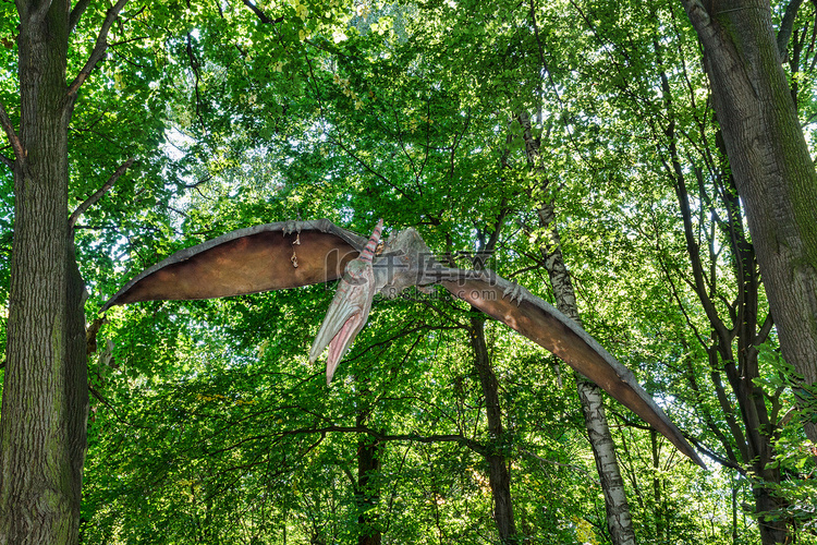 自然界中的史前飞行恐龙 Pteranodon