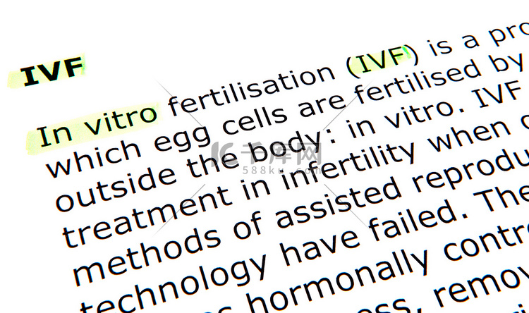 体外受精 (IVF)