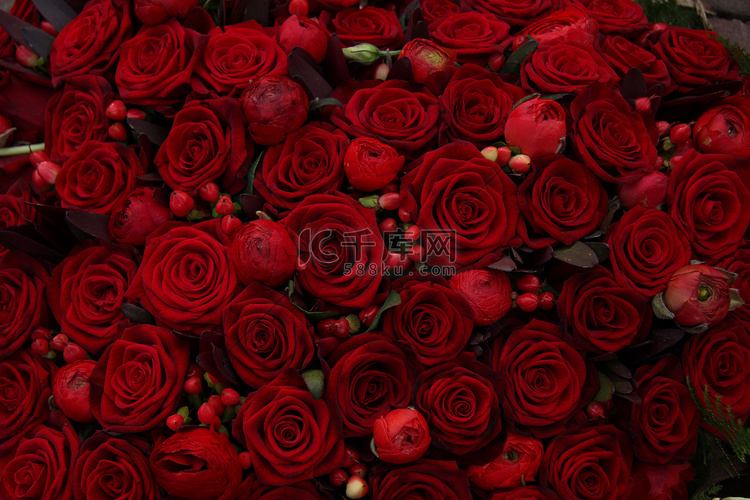 一组毛茛属、浆果和玫瑰