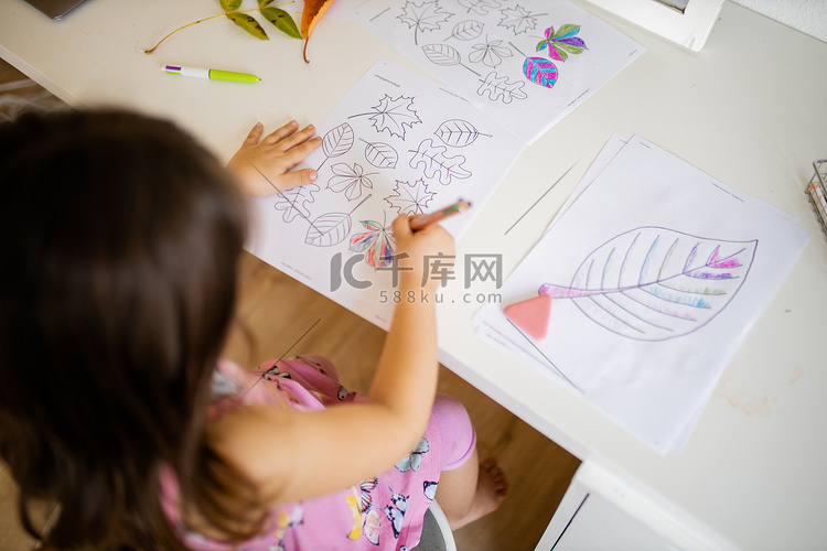 小女孩用笔在纸上给不同类型的叶