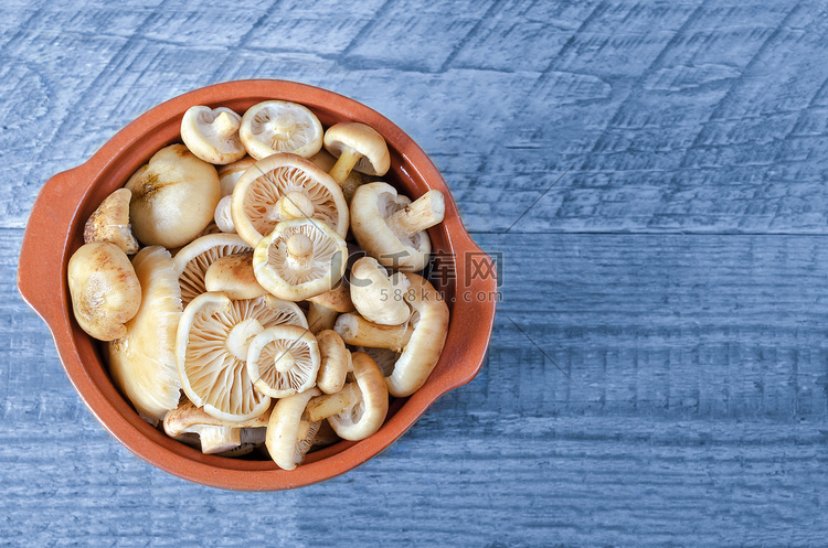 蓝色背景陶瓷锅中的生洗蘑菇。