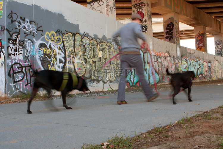 在城市环境中遛两条狗的人的运动