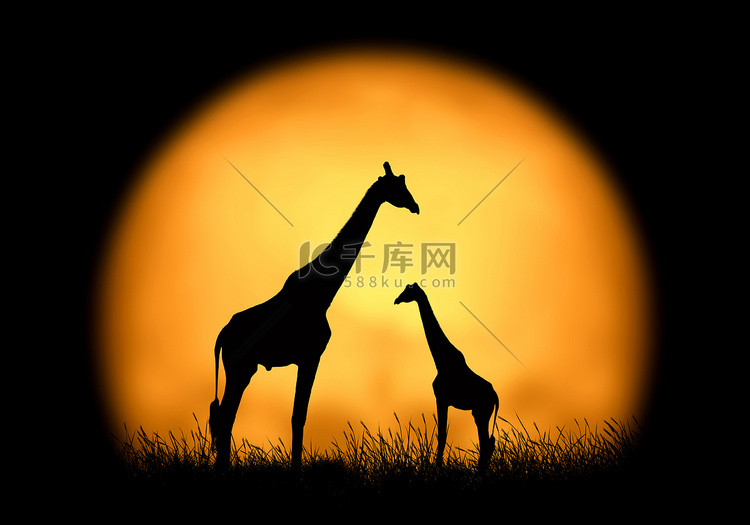 在日落背景的剪影长颈鹿