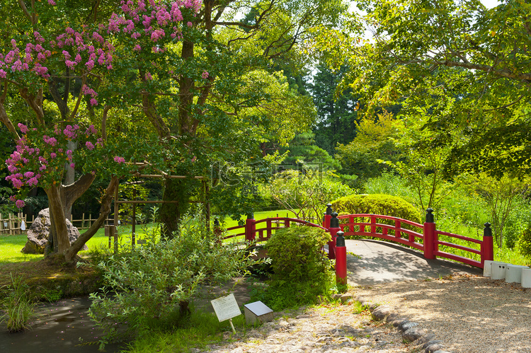 美丽的日本庭园