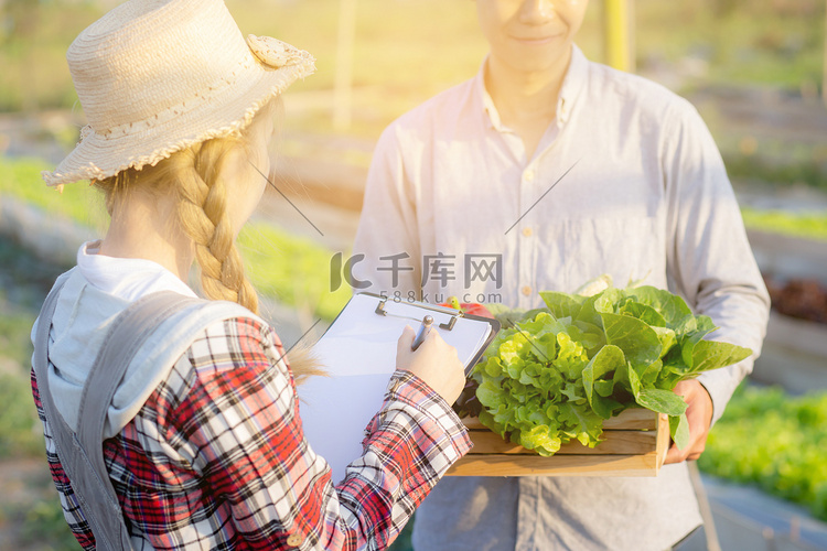 检查蔬菜有机水培农场的年轻亚洲