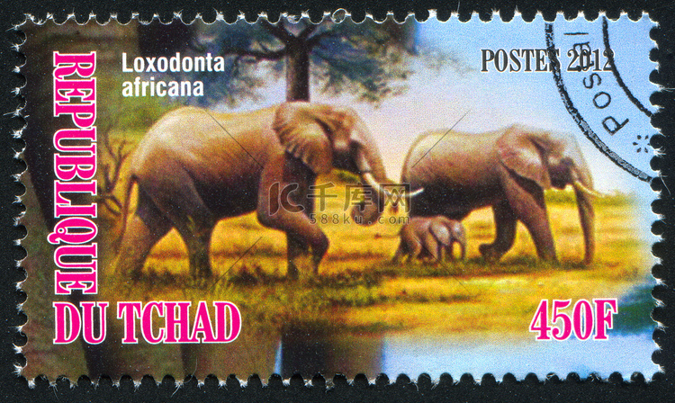 非洲丛林大象