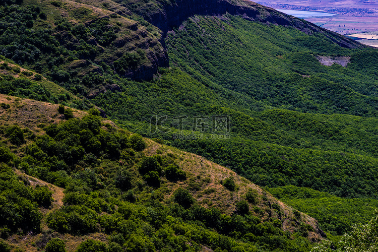 夏季背景与野生森林