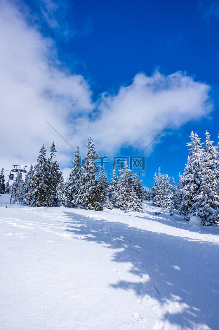 克尔科诺斯山覆盖着白雪，树木结