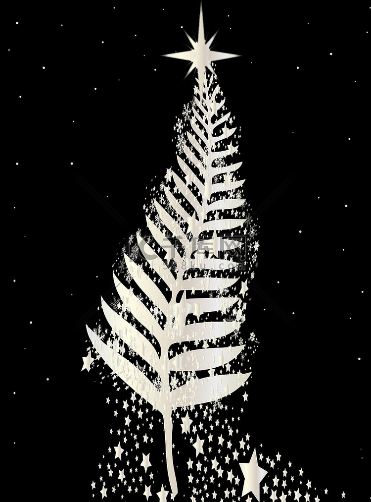 新西兰银蕨圣诞树