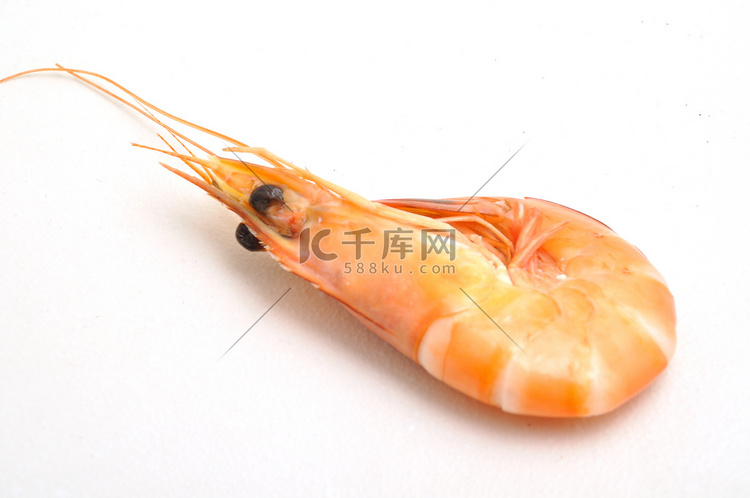 热带虾