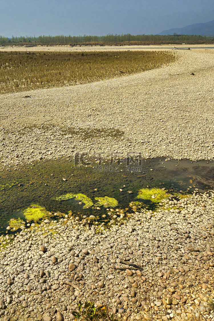 湿地，皇家巴迪亚国家公园，尼泊