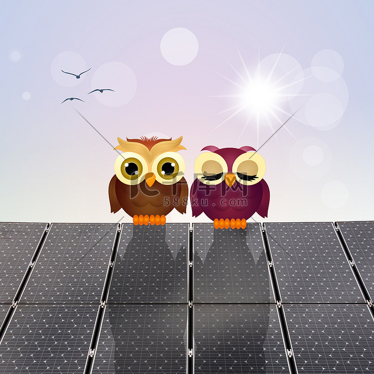 太阳能电池板上的猫头鹰