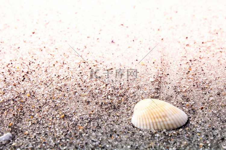 沙滩上五颜六色的贝壳