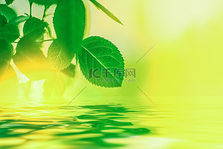 绿叶泉水、生态自然与生物能源背