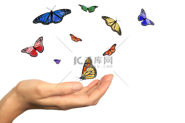 女人的手释放美丽的蝴蝶