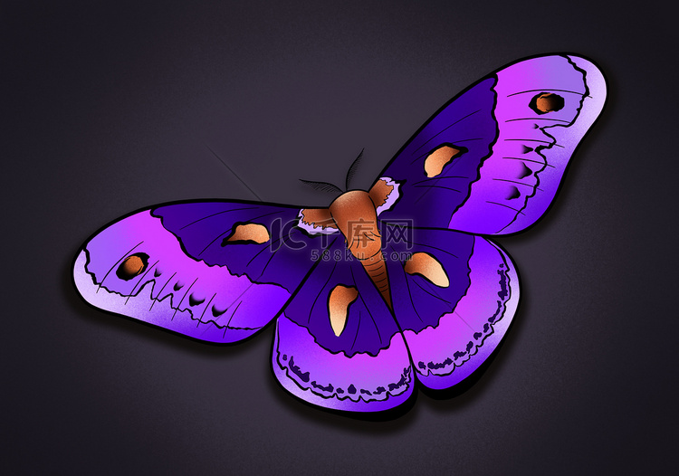梦幻般的蝴蝶蛾明亮的插图艺术