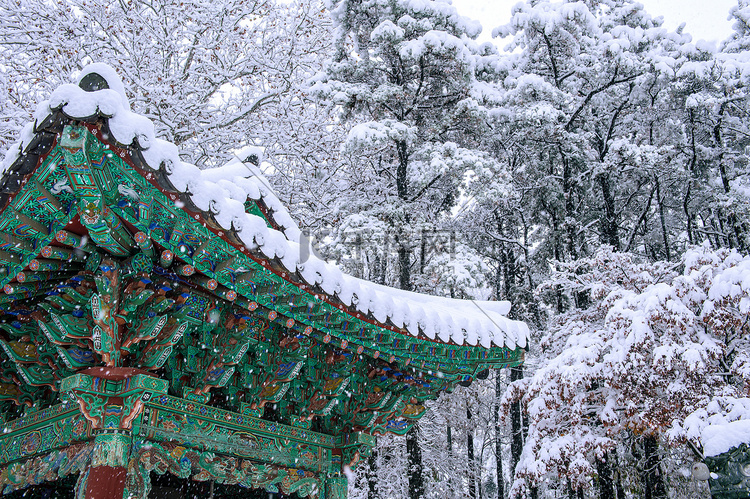 韩国首尔景福宫屋顶和落雪的冬季