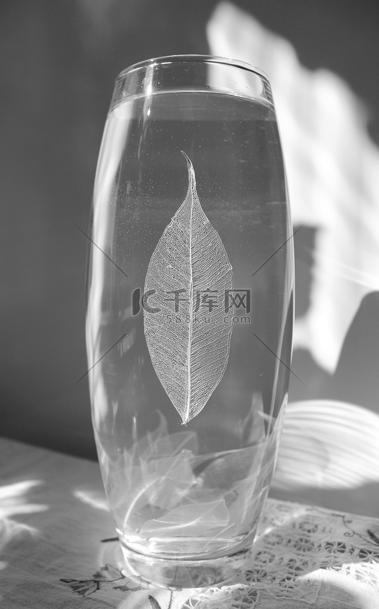 玻璃花瓶上榕树 (Ficus 