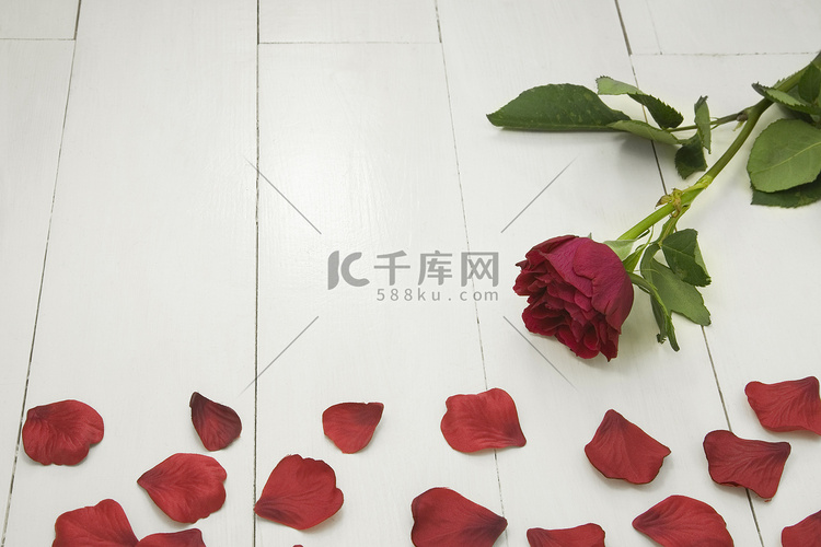 白色木地板上的单朵红玫瑰和假红