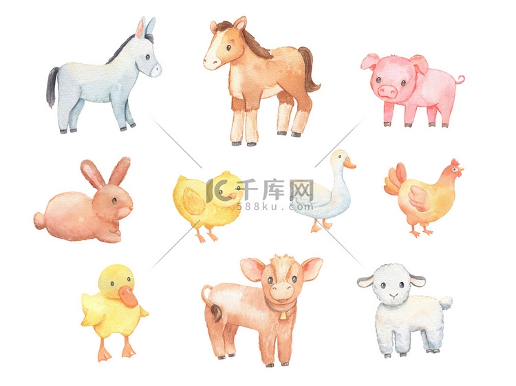 可爱的小驴、羊和鸡被白色隔离。