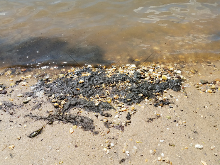海滩上的脏水黑藻和湿沙和鹅卵石