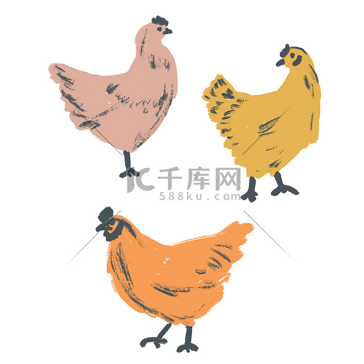 手绘插图母鸡，家禽动物家禽。