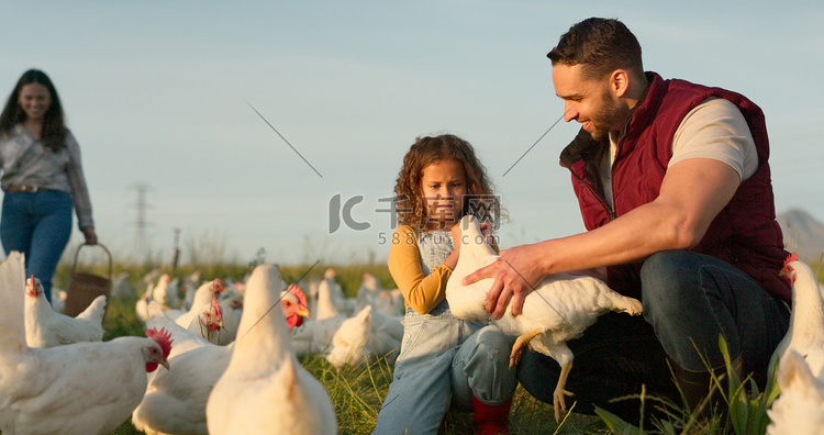 母亲、父亲和孩子带着一只鸡在农