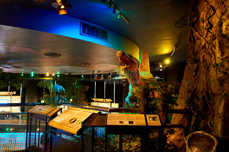 侏罗纪公园内部博物馆与机器人恐