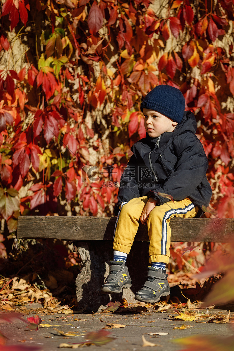秋天公园里一个悲伤的小男孩的画