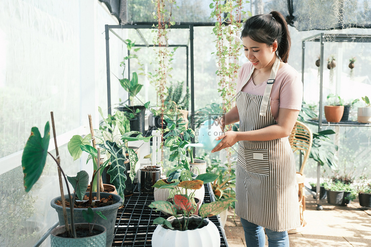 年轻的女厂主在厂房里浇花。