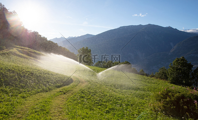 洒水器在瑞士给草坪浇水