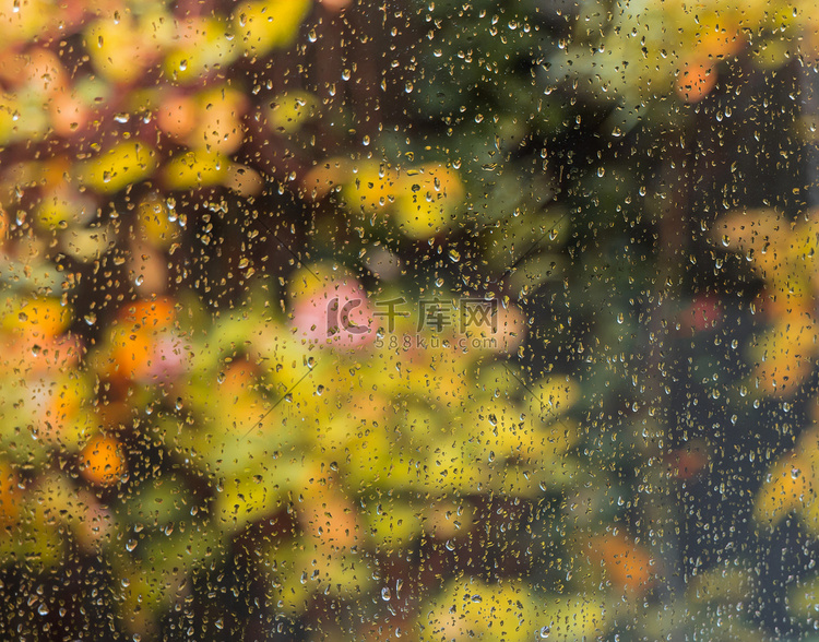 在秋天的雨天，从窗户可以看到花