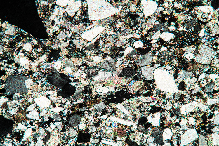 50x 显微镜下的石灰岩