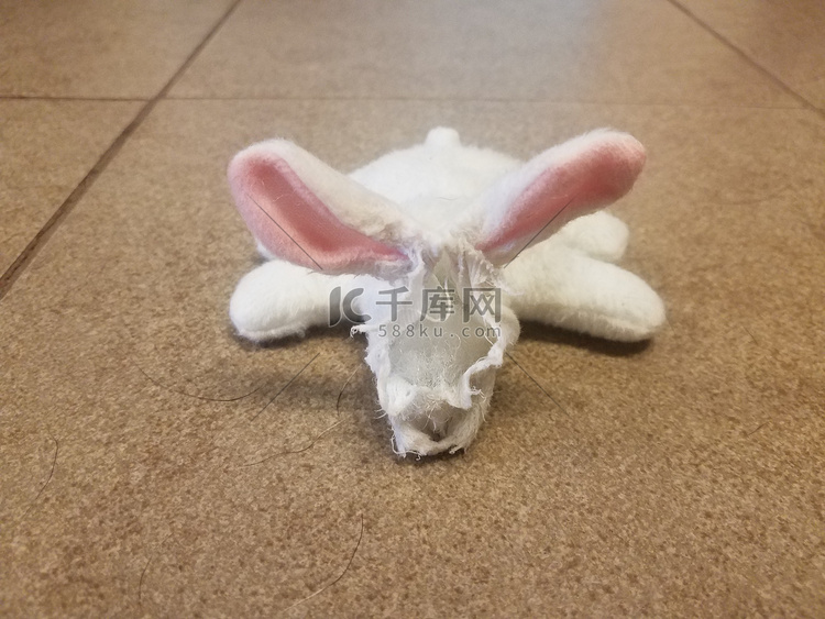 脸被咬掉的白色兔子狗玩具