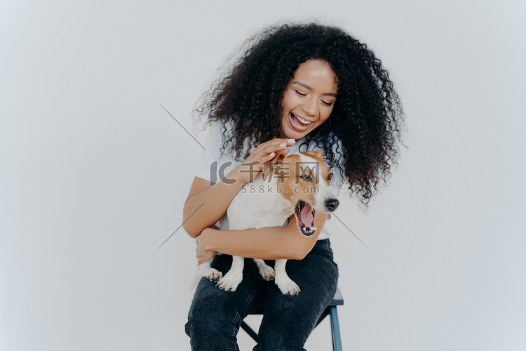 快乐的非洲裔美国女人和纯种狗玩