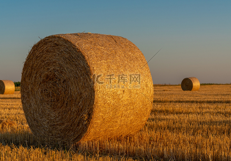 田野里的干草卷和温暖的日落阳光