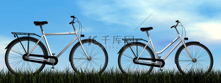 男性和女性自行车- 3D 渲染