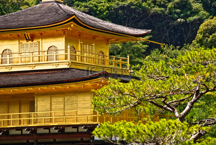 日本京都金阁寺特写。