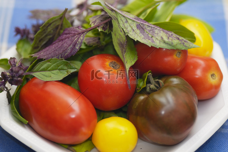 一盘混合西红柿与紫色和绿色罗勒