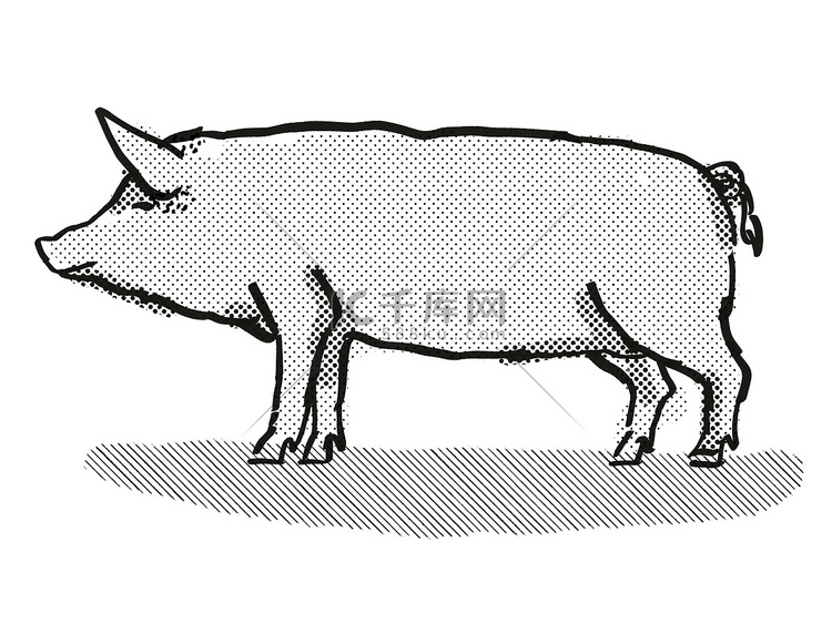 塔姆沃思猪品种卡通复古绘图